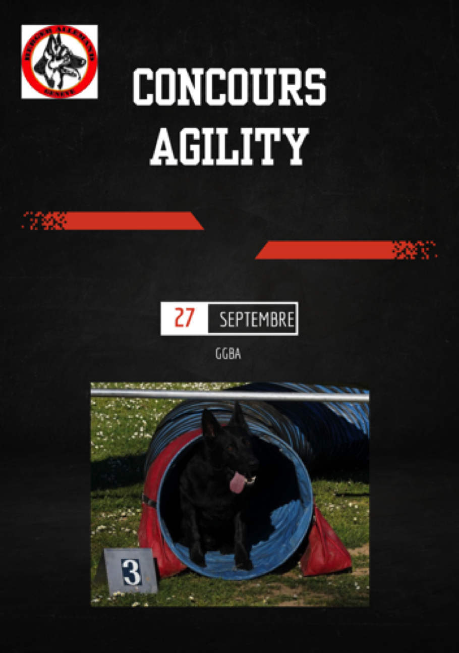 affiche agility
