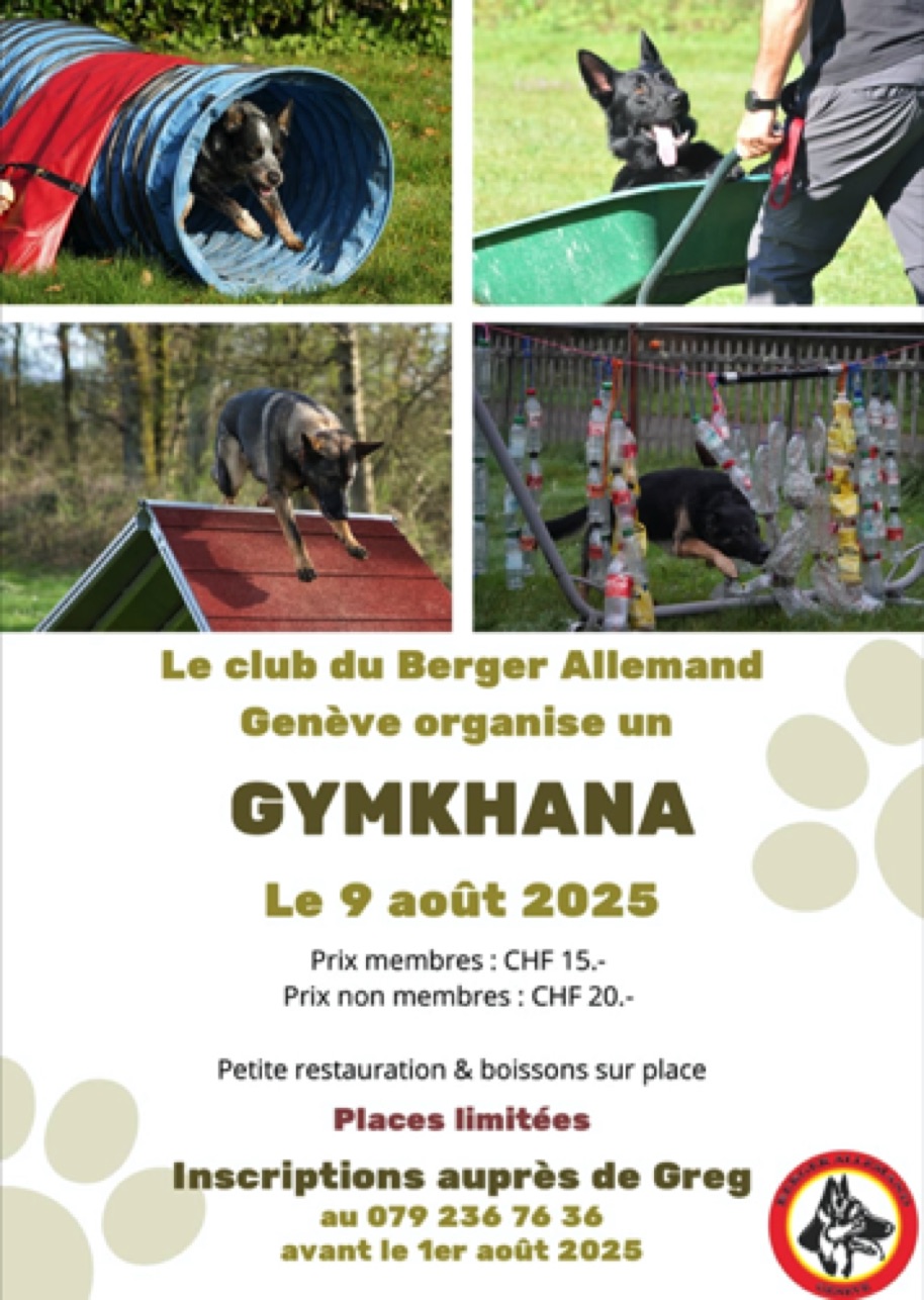 gymkana 